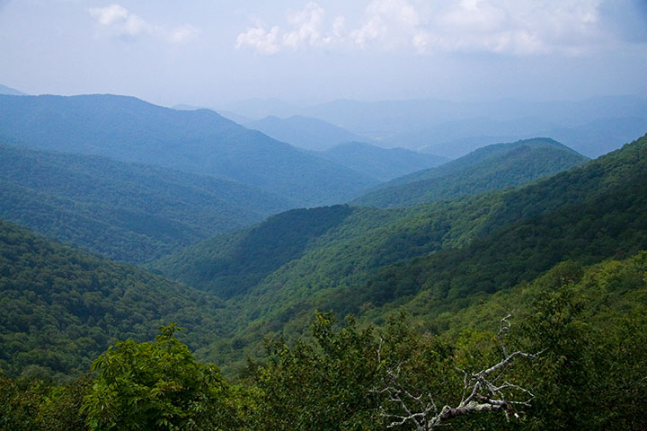 Blue Ridge Parkway photo by Chandler O'Leary